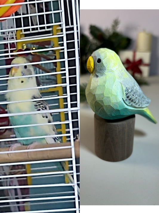 Budgie on Stand