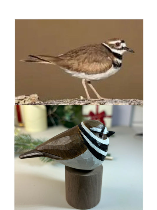 killdeer-on Stand