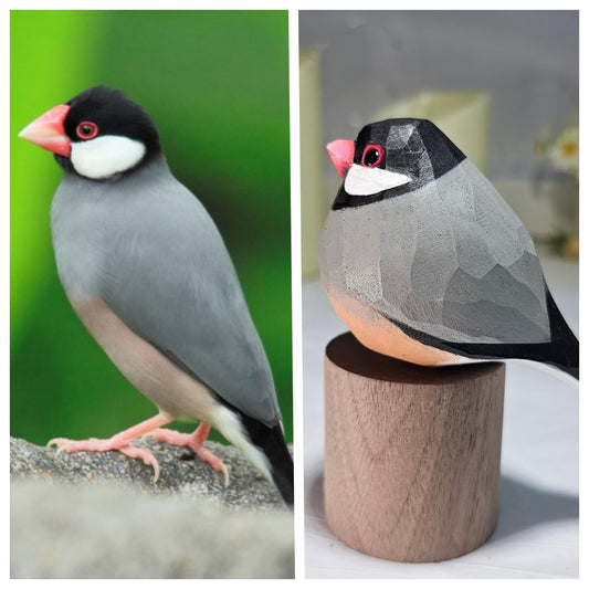 Java Sparrow on Stand