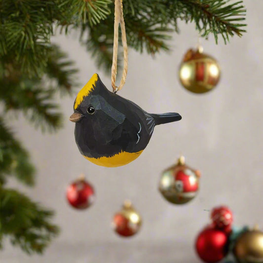 Sultan Tit Hanging