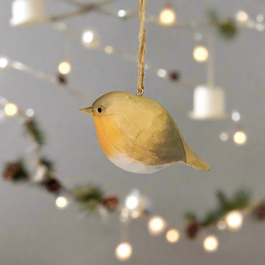 European robin (Erithacus rubecula) Hanging
