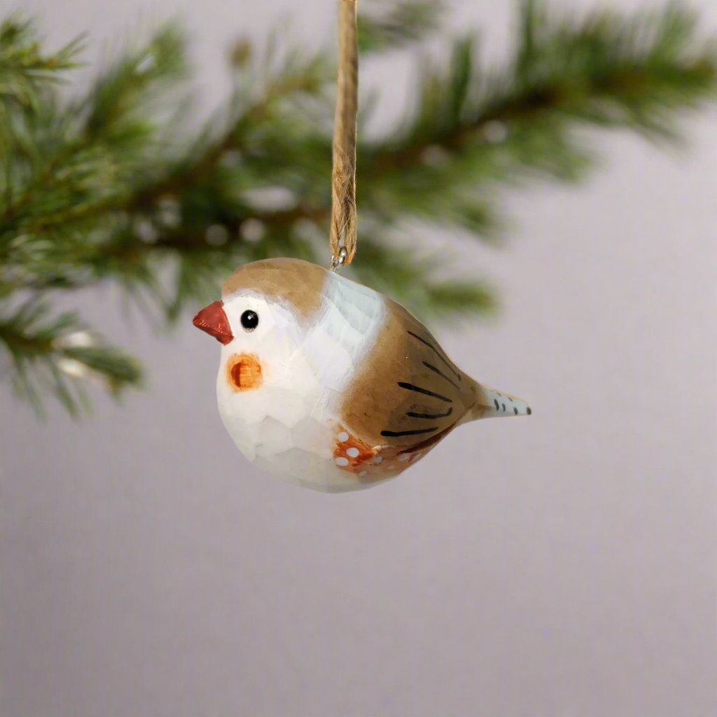 Zebra Finch Hanging