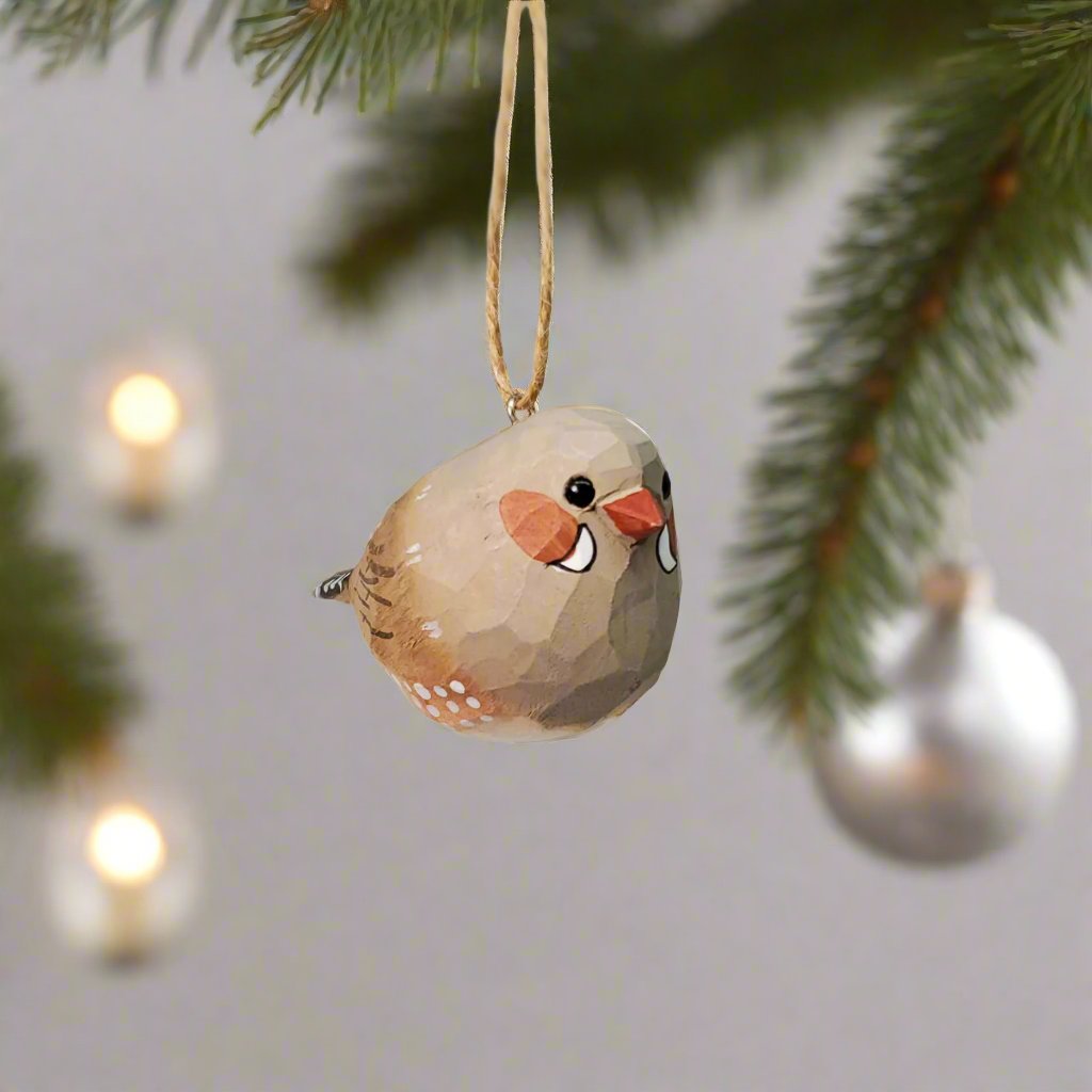 Zebra Finch Hanging